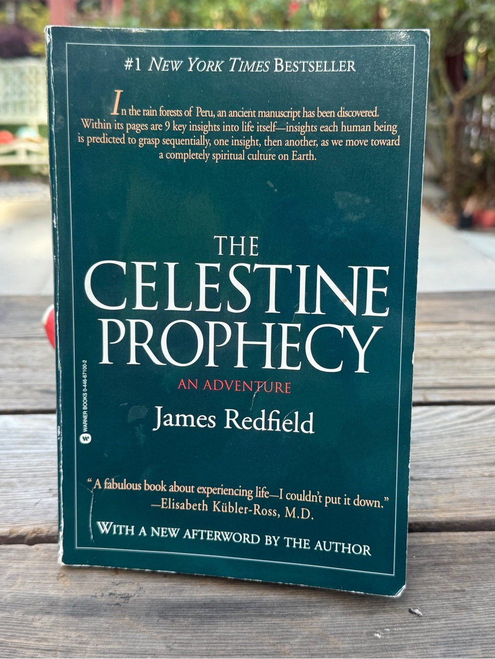 The Celestine Prophecy by James Redfield — Dark Green Paperback